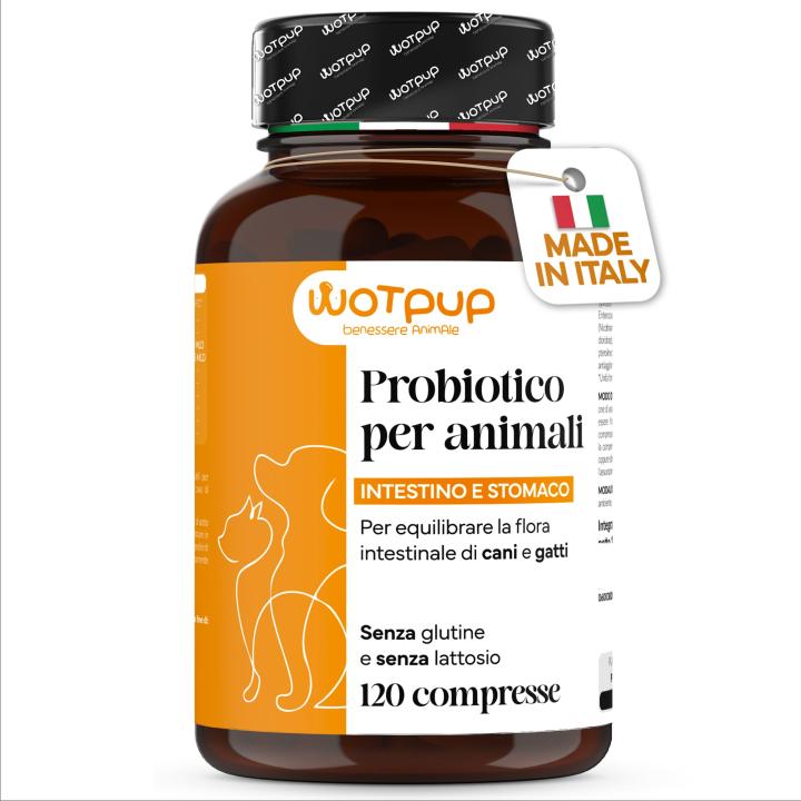 PROBIÓTICOS DE ALTA CALIDAD PARA PERROS Hechos en Italia. Lactoferrina para Perros y Gatos, 120 Comprimidos - Suministro para 4 MESES. Apoyo digestivo, alivia la picazón y las alergias. Suplemento para la diarrea en gatos.