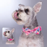 Collar De Floral Nylon Para Perros Con Lazo Ajustable Y Padded Para Pequeños Medianos Y Grandes Incluye Chihuahua Pug - details 15
