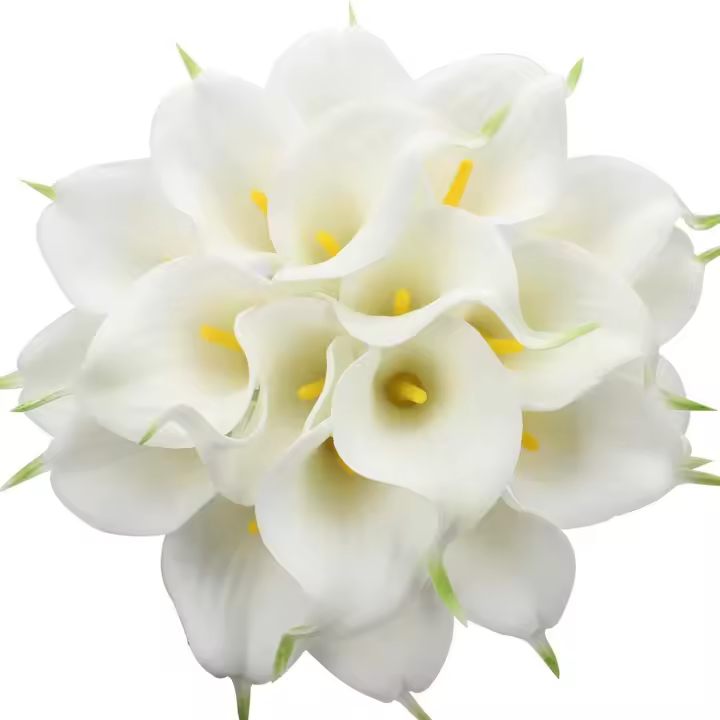20 Unids Calla Lily Nupcial Ramo de Flores Artificial Flor de Látex Real Touch Home Party Decoración de La Boda - 1