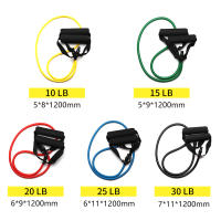 Banda De Resistencia Con Manijas 5 Niveles Ejercicio De Entrenamiento De Fitness Bandas Elásticas Para Fortalecimiento Muscular Y Acondicionamiento Corporal - details 1