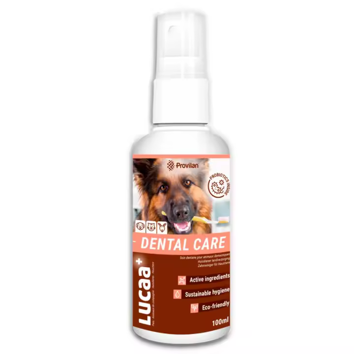 Provilan Cuidado Dental para Mascotas – Tramiento y Prevención Problemas Bucales en Mascotas – Eficaz Antibacteriano Probiótico dientes y encias – EcoFormula sin Químicos – Protección Ecologica y Eficaz – Formato RTU (Listo para usar) – Spray 100 ml - 1