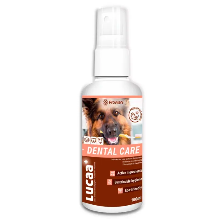 Provilan Cuidado Dental para Mascotas – Tramiento y Prevención Problemas Bucales en Mascotas – Eficaz Antibacteriano Probiótico dientes y encias – EcoFormula sin Químicos – Protección Ecologica y Eficaz – Formato RTU (Listo para usar) – Spray 100 ml - 1