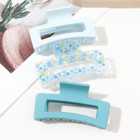 3 Pcs Accesorios De Cabello Premium Estilo Clip-ins Frosted Cream Color Transparente Con Dientes De Tiburón Para Decorar El Cabello De La Mujer - details 1