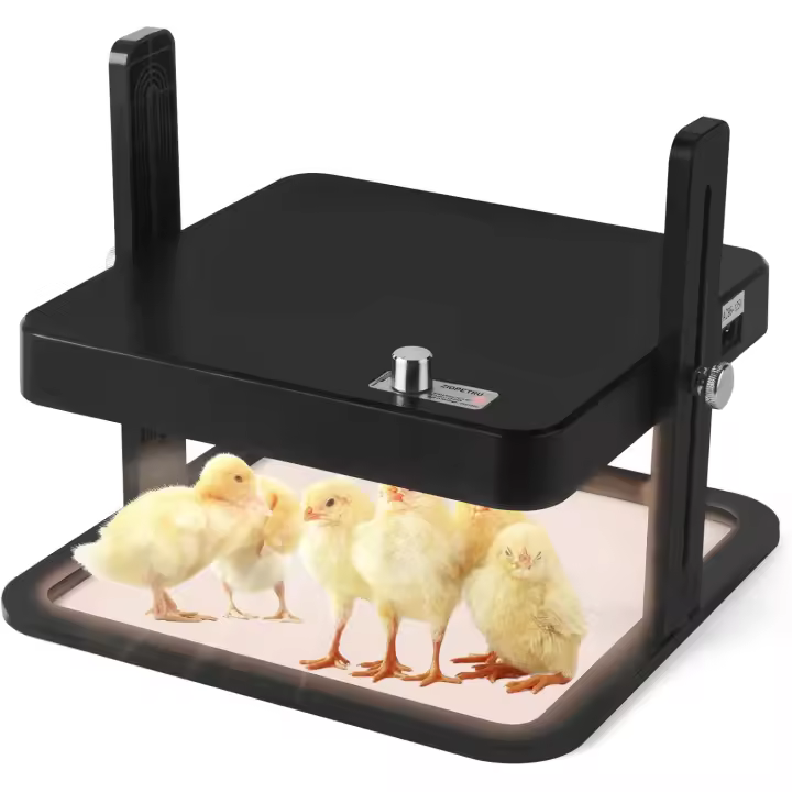 Calefactor Inteligente Para Pájaros Pequeño Con Placa De Calentamiento Seguro Control De Temperatura Para Pollos Accesorio De Jaula Para Mascotas - 1