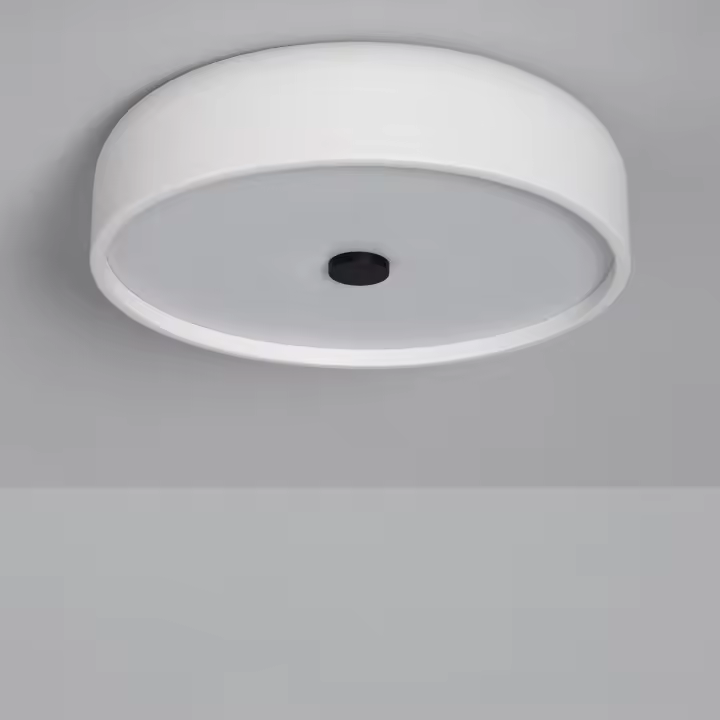 Plafón LED 24W Metal Ø350 mm CCT Seleccionable Eyelight - 1