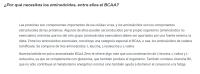 Bcaa de BioTechUSA - BCAA Zero aminoácidos en polvo - 360g varios sabores - details 8