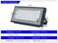 Reflector De Aire Libre Impermeable De 50W Ip65 - details 0