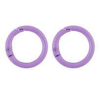 5Pcs/Lot Anillo Metálico 25mm Con Abrazadera De Resorte Clip Para Cadena De Perros Accesorios Para Joyería DIY Hebilla De Llavero Con Gancho Abrepuertas - details 14