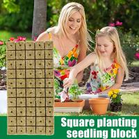 Cubes De Medio De Cultivo De Piedra Ponceada 100/50x Para Cultivo Hidroponico De Semillas Y Plantas Jardín Bloque De Semillero Cultivo Por Inmersión - details 4