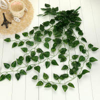 Guirnalda De Hojas De Planta Artificial Vine Colgante Para Decoración De Jardín Y Pared De Hogar Material De Rattan - details 7