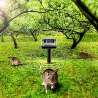Repelente Ultrasonido Solar Eléctrico Ratón Serpiente Insectos Alta Potencia Vibración Batería Integrada IP64 Carga Solar - details 2