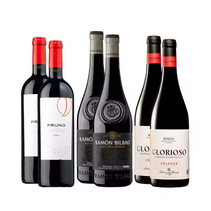 Pack 6 botellas Gourmet Vino Tinto España  450 cl. 14.0º - 1