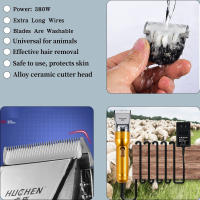380W Cachemira cabra Shearer 12V inalámbrico hogar PET (gato, perro, conejo, oveja) pelo trimmer eléctrico Alfombras Tufting trimmer - details 5