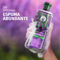 Herbal Essences Controla El Frizz Champú Aroma A Lavanda Para Pelo Encrespado. Ayuda A Limpiar, Hidratar, Suavizar. De Origen Natural. 6 Unidades de 350ml - details 2