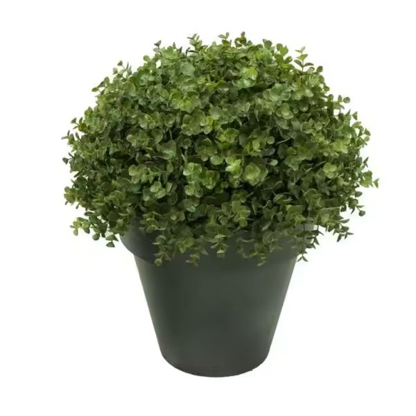 TAPIDECOR Planta Artificial Exterior Interior Bola Eucaliptus Maceta 25 Cm - 1