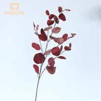 1PC Hojas De Árbol De Otoño Artificiales Para Decoración De Boda Y Hotel Eucalipto Y Manzana Simulación De Hojas De Planta Artificial De Seda - details 7