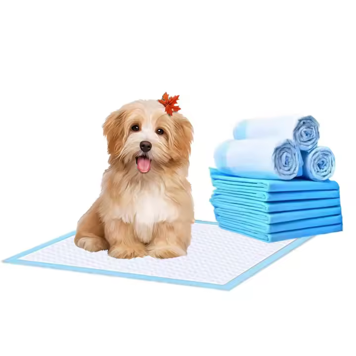 NQT Pack Empapadores Perros Almohadillas de Entrenamiento 5 Capas a Prueba de Fugas - Alfombrillas Higiénica Desechables Ultraabsorbente Secado Rápido 45x60 60x60 60x90 cm 10 12 30 36 60 168 200 Unidades - 1