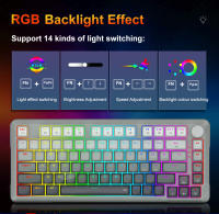 Teclado Mecánico De Juego E-YOOSO Hz82 RGB USB 8K Con Interruptores Magnéticos 82 Teclas Cable Desmontable Para PC Laptop - details 5