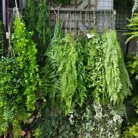 1PC Planta Artificial Colgante De Hierba Verde Falsa Valla De Plástico Para Decoración De Jardín Y Restaurante Arquitectura Suave - details 4