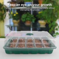 Bandeja de plántulas Planta Grow Pot 3 Unidades con Tapa 15 Cuevas Jardín Bandeja De Plástico Mini Planta Grow Box Fruit Grooming Cultivo de Interior Conjunto de Invernadero - details 2