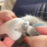Tijeras De Uñas Para Mascotas Profesionales Con Bloque De Seguridad Ajustable Para Perros Y Gatos Herramienta De Aseo Para Gatos Y Perros Cuidado De Uñas Para Gatos Y Perros Recién Nacidos - details 4