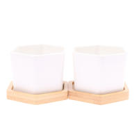 Maceta De Cerámica Blanca Para El Hogar Con Bandeja Hexagonal Sencillo Estilo Europeo Contenedor De Planta Para Suculentas Pequeña Maceta Para Bonsái - details 15