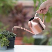 Maceta De Riego De Acero Inoxidable Con Boquilla Larga Accesorios De Jardín Para Plantas Sandía De Cobre Pulido Metal - details 0
