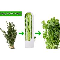 Caja De Almacenamiento Para Hierbas Frescas Como Coriandros Peras Espárragos Menta Mantener Verduras Frescas Durante 2-3 Semanas Plástico Resistente - details 1