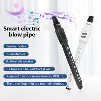 Flauta Eléctrica ENO Con Vibration Automática Y Bocina Removible Instrumento Digital De Viento Con Carga Type-C Set De Instrumento Eléctrico Portátil - details 0