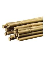 GROUW Tutor de Bambú Decorativo Natural ø1,1cm X1,80m - Nortene 5709386102319 - details 1