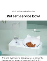 Tazón De Alimentos Para Mascotas Con Inclinación De 15 Grados Para Proteger La Columna Vertebral Del Cuello Dispensador Automático De Agua Tazón Cuadrado De Plástico Para Gatos - details 0