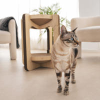 Rascador de cartón dos alturas para gatos - Althea Living - details 3