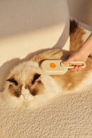 Cepillo De Baño Para Mascotas Gato Y Perro Con Pulverización De Vapor Rotativo Plegable Borrador De Pelos Botón Único Material Plástico - details 3