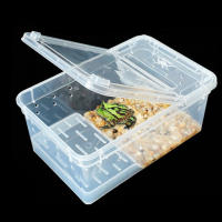 Caja De Cría Para Reptiles Acrílico Transparente 1 Pc Tanque De Tortugas Lagartos Insectos Y Araña Caja De Vitrum Para Mascotas - details 7