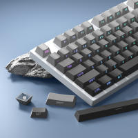 Keycaps De PBT Para Teclado Mecánico Gradient Gris Retroiluminado Compatible Con Switch MX 133 Teclas Altura Original - details 0