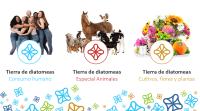 Diatomeas® - Tierra de Diatomeas Molida 25kg, 100% natural, ecológica y alta pureza, Grado alimenticio animal E551C. - details 2