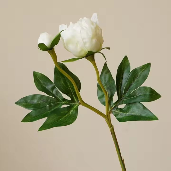 Arreglo De Flores De Seda Estilo Europeo Con Dos Cabezas Simuladas De Peonía Para Bodas Y Decoración Del Hogar Flores Artísticas De Terciopelo Suave - 1