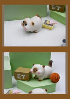 Caja Sorpresa Kawaii Azuki Con Figuras De Perro Y Gato Decoraciones De Muñeca De Acción Para Niños Regalo De Moda Diaria Pequeña Siam - details 3