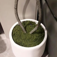 Plantas Artificiales Verdes Alrededor De 20g Poliéster Moqueta Hierba Para Decoración De Hogar Sala De Estar Jardín Mini Paisaje Flores Falsas DIY Artesanía - details 11