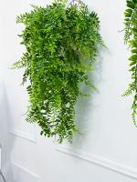 1pc/2pcs Vine De Hierba Persa Artificial 90cm Verde Pendiente Para Pared Planta Falsa De Asa De Pino Para Exhibición Y Aniversario - details 1