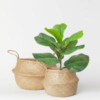 Arbusto De Ficus Artificiales Nórdicos En Maceta 35-63cm Decoración De Hogar Y Jardín Estilo Silken Tree Para Exposiciones Y Ambientes Al Aire Libre - details 5