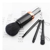 Brocha portátil para Labios, Brocha para mezcla base y Polvos, Brocha para decoración de uñas, miniherrajes retráctiles para Cosméticos faciales (Negro) - details 3
