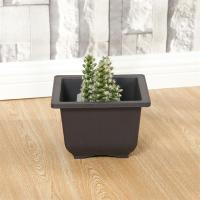 Maceta De Plástico Para Plantas De Bonsái Y Suculentas Cuadrada Moderna Para Balcón Jardín Uso En Interiores Y Exteriores - details 4