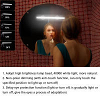 Lámpara De Maquillaje LED Con Interruptor Táctil Y Luz USB Protección Ocular Portátil Recargable Con Imán Colgante Espejo Luz Selfie - details 13