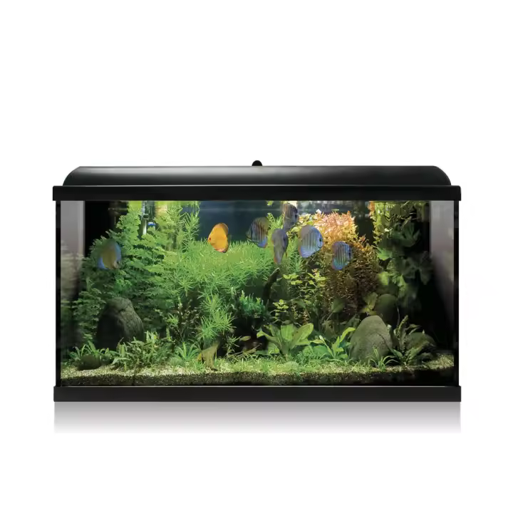 Ica Kit AQUA LED PRO 100 L con Filtro Interior - Acuario Negro 44,2x30,5x79,7cm - 1