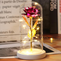 Rosa De Boda Con LED Galaxia Enchanted Con Luz En Domos Regalo De San Valentín Navidad Día De La Madre Belleza Y La Bestia Para Interior - details 13