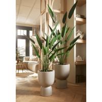 Emerald Planta heliconia artificial 125 cm verde 419837 - details 4
