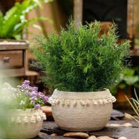 7 Palillos De Flores Artificiales Hierba Plástica Para Decoración De Boda Hogar Jardín Vaso Propaganda Fotografía Interior Bonsái Planta Falsa - details 3
