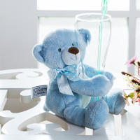Oso De Peluche Grande Para Bebé En Rosa / Azul / Blanco Suave Y Suave 10 Pulgadas Para Niños Y Adultos - details 6