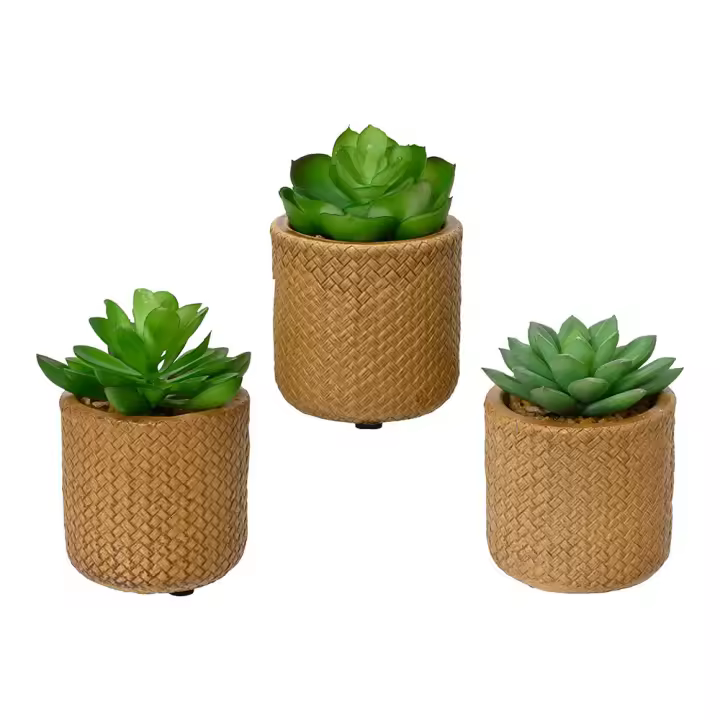 PLANTA SUCULENTA ARTIFICIAL DE 10cm MODELOS SURTIDOS 809279 - 1